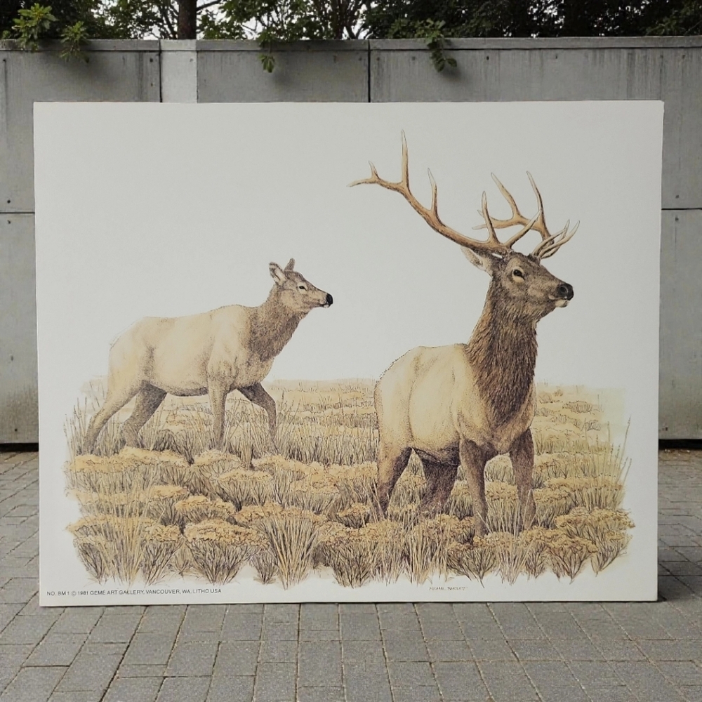 Vtg 81 Artist MICHAEL F. BARTLETT # BM1 GEMÉ ART GALLERY Bull Moose Print EUC